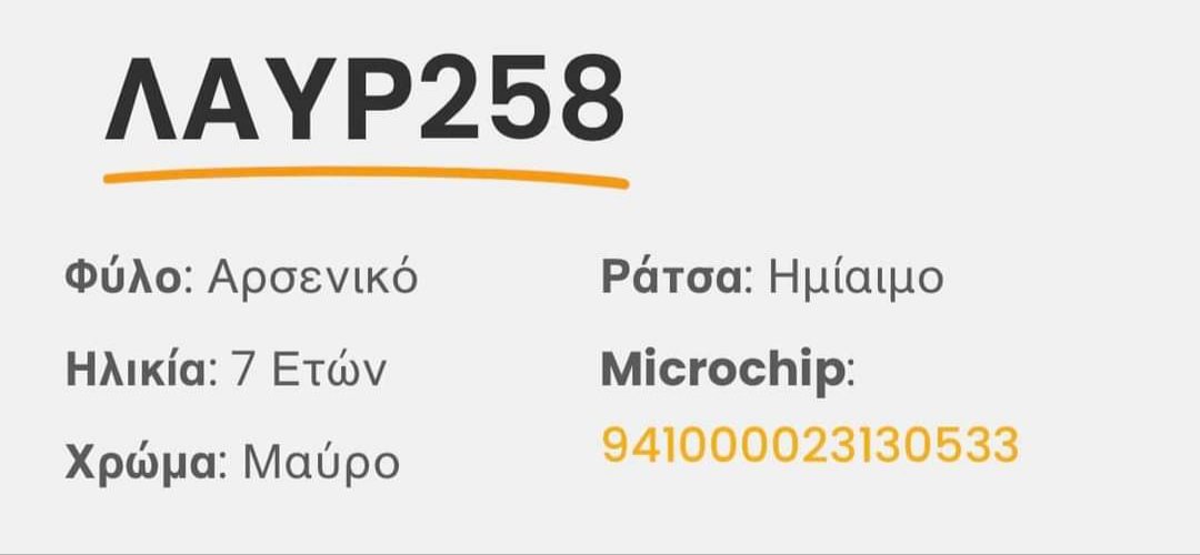 KatKatPt's tweet photo. 🆘🆘🆘
Μεταφέρθηκαν στο ΔΙΚΕΠΑΖ
Αρσενικά 7 κ 5 ετών
Επικοινωνία με ΔΙΚΕΠΑΖ με τους κωδικούς που αναγράφονται για υιοθεσία!
Δεν τους αξίζει να μένουν εκεί μέσα σε ένα κλουβί
Rt 🙏🙏🙏 https://t.co/1OxuyQ7aXX