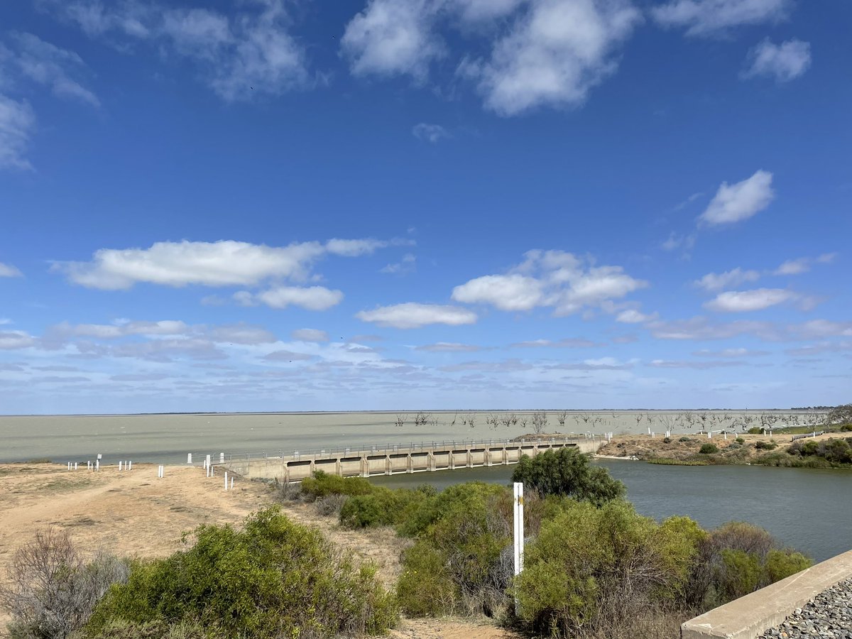 JAdamsSSDD's tweet image. Melons near Lake Menindee…#outbackagro