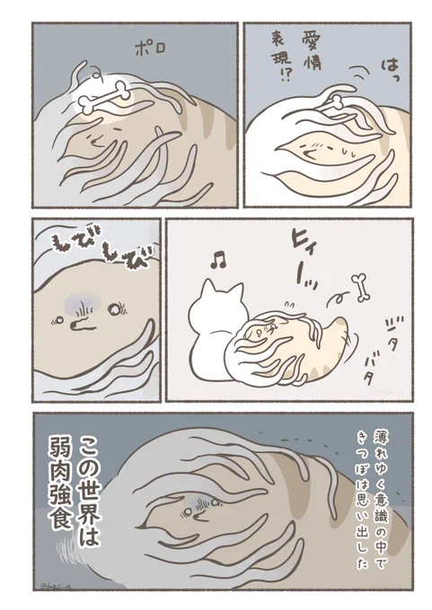 きつぼの恋の行方(1/2) 