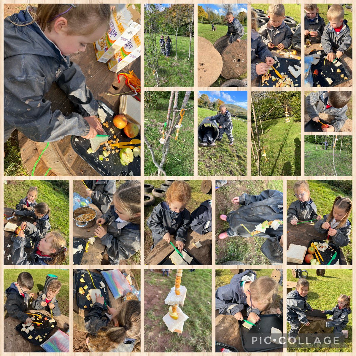 bycforest's tweet photo. Dosbarth Gwyrdd enjoyed being ethically informed citizens by making and hanging delicious bird feeders for our birds in our Forest Schools field 🐦🪵🌳🌎🪹 @Natures_Voice @RSPB_Learning @BeckyEco_Ed @_OLW_ https://t.co/oY4siTwoHG