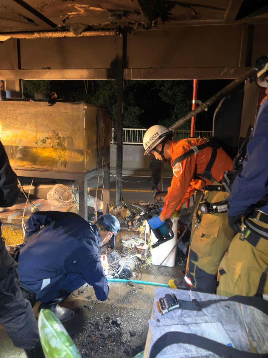 arowanabaka222's tweet photo. 誰か千葉で水槽余裕ある方
アロワナ3匹預かれますか？
火事で、死にそうです、、、 https://t.co/jKyOudTMhj