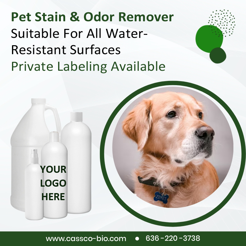 CassCo offers a complete line of pet-friendly household cleaning products. Our pet stain and odor remover is ideal for stain removal from carpets, upholstery, and similar surfaces. #dogchews #dogtreats #dogsofinstagram #dogs #dogchew #naturaldogtreats #naturaltreats #dog #do