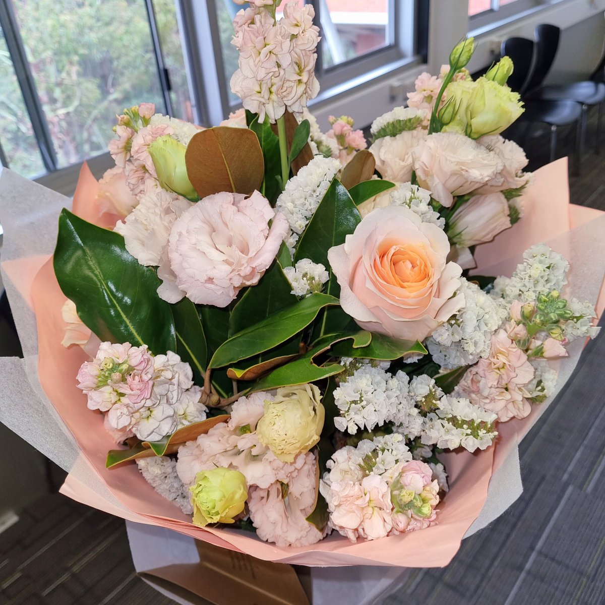 Laura Greco 🧬🧠 tweet media