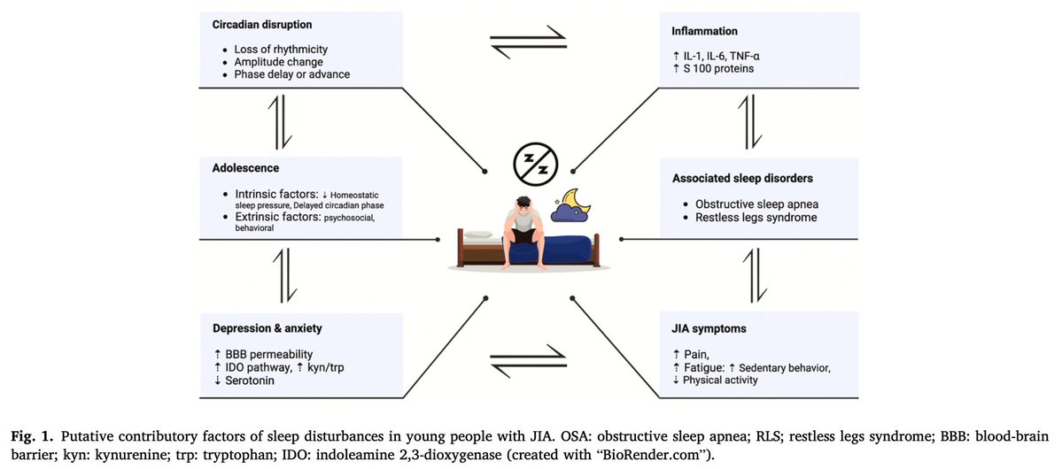 J-AP2S (@jap2s_lab) on Twitter photo 🚨New paper🚨
We are back with a wonderful publication from <a href="/SAIDIOu94786109/">SAIDI Oussama</a> and his collaborators in the prestigious journal "Sleep Medicine Reviews" <a href="/_WorldSleep/">World Sleep Society</a>😴 Congratulations!! For those curious, everything is happening here ⬇️.
sciencedirect.com/science/articl… 🚨New paper🚨
We are back with a wonderful publication from <a href="/SAIDIOu94786109/">SAIDI Oussama</a> and his collaborators in the prestigious journal "Sleep Medicine Reviews" <a href="/_WorldSleep/">World Sleep Society</a>😴 Congratulations!! For those curious, everything is happening here ⬇️.
sciencedirect.com/science/articl…