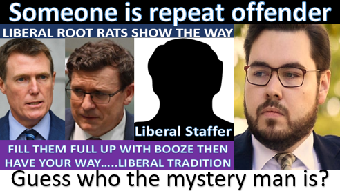 mryansisland's tweet image. Treating women with sexual abuse, rape &amp;amp; violence. #7network #KerryStokes #MSM #Liberal have backed in disgraceful men as being honorable. Now #BruceLehrmann is identified as the #Toowoomba Alleged #Rapist  Who is still protecting Lehrmann, maybe Linda Reynolds @lindareynoldswa