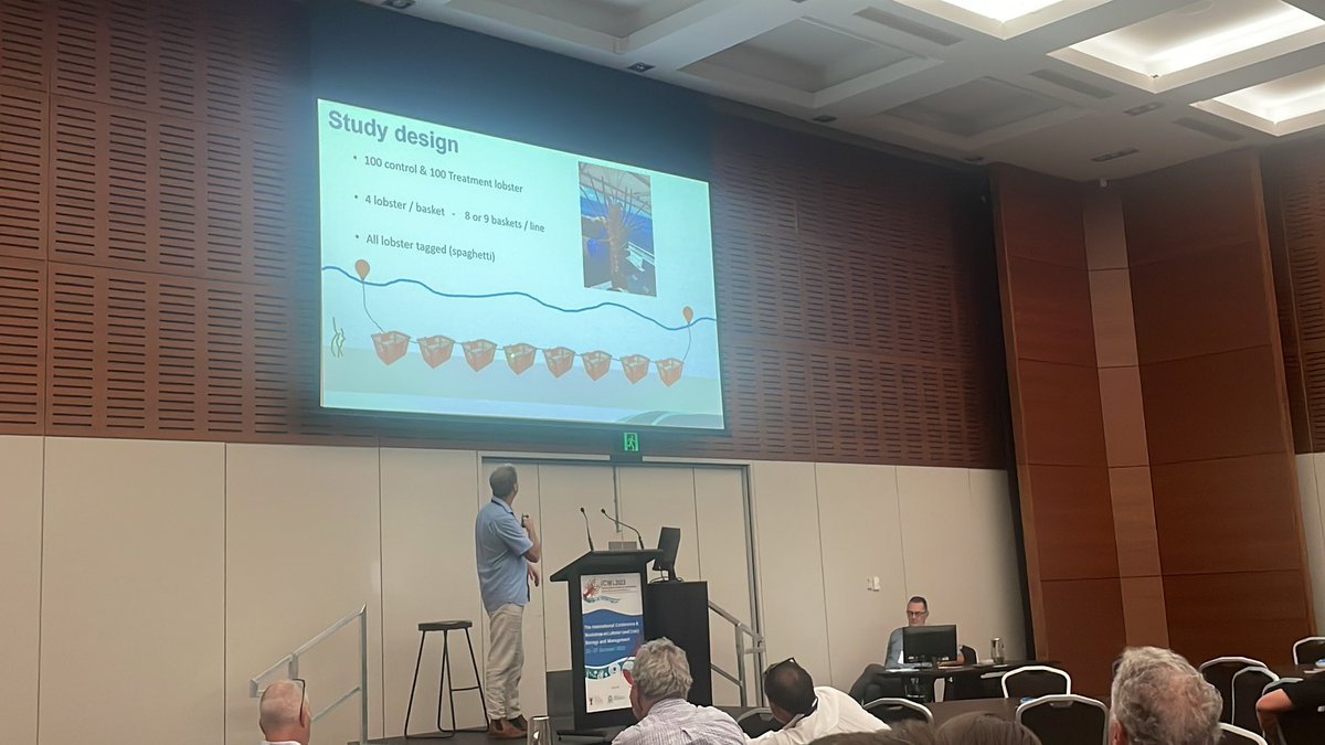 ICWL2023's tweet photo. Great presentation from Simon De Lestang! Seismic surveys impact on Western Rock Lobster. Significant impacts on behaviour and recapture #rocklobster @FisheriesWA https://t.co/rOfHgQI4ha