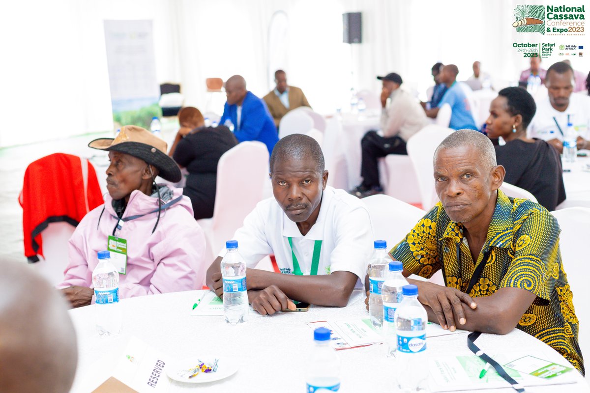 NationalCassava's tweet photo. The progress is simply inspiring. Together, we're achieving so much!
Let's keep the momentum strong! 

https://t.co/KiNKKKOTFi
#CassavaCon #CassavaExpo2023 #NationalCassavaCon #CassavaIndustry #Kenya #Agriculture #FoodSecurity #EconomicDevelopment https://t.co/AE4dfK2a7C