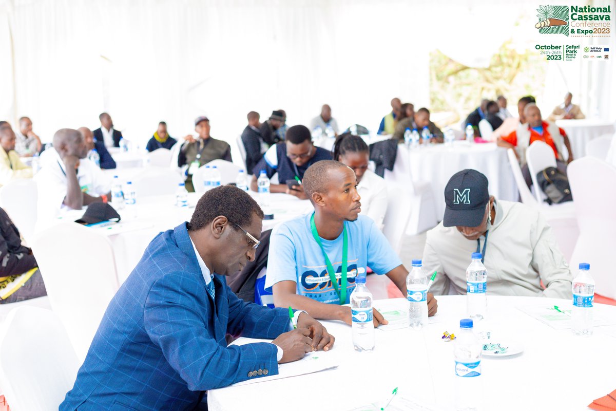 NationalCassava's tweet photo. The progress is simply inspiring. Together, we're achieving so much!
Let's keep the momentum strong! 

https://t.co/KiNKKKOTFi
#CassavaCon #CassavaExpo2023 #NationalCassavaCon #CassavaIndustry #Kenya #Agriculture #FoodSecurity #EconomicDevelopment https://t.co/AE4dfK2a7C