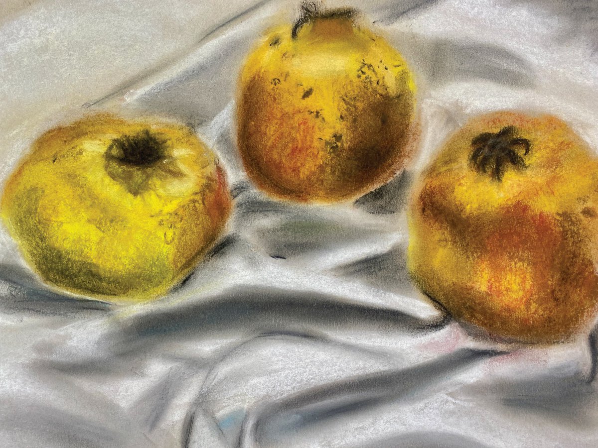NAISHongKong's tweet image. Autumn has arrived with a sea of pomegranate soft pastel studies from #NAISHongKong Year 10 students! 🍂🍁
#NordAngliaEducation #NAEBeAmbitious #CreateYourFuture #Autumn #Art