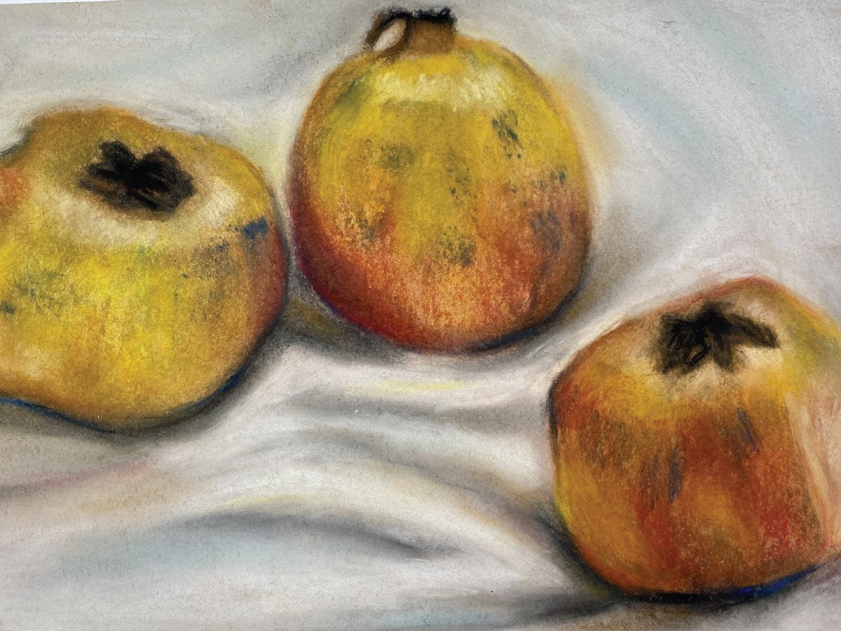 NAISHongKong's tweet image. Autumn has arrived with a sea of pomegranate soft pastel studies from #NAISHongKong Year 10 students! 🍂🍁
#NordAngliaEducation #NAEBeAmbitious #CreateYourFuture #Autumn #Art