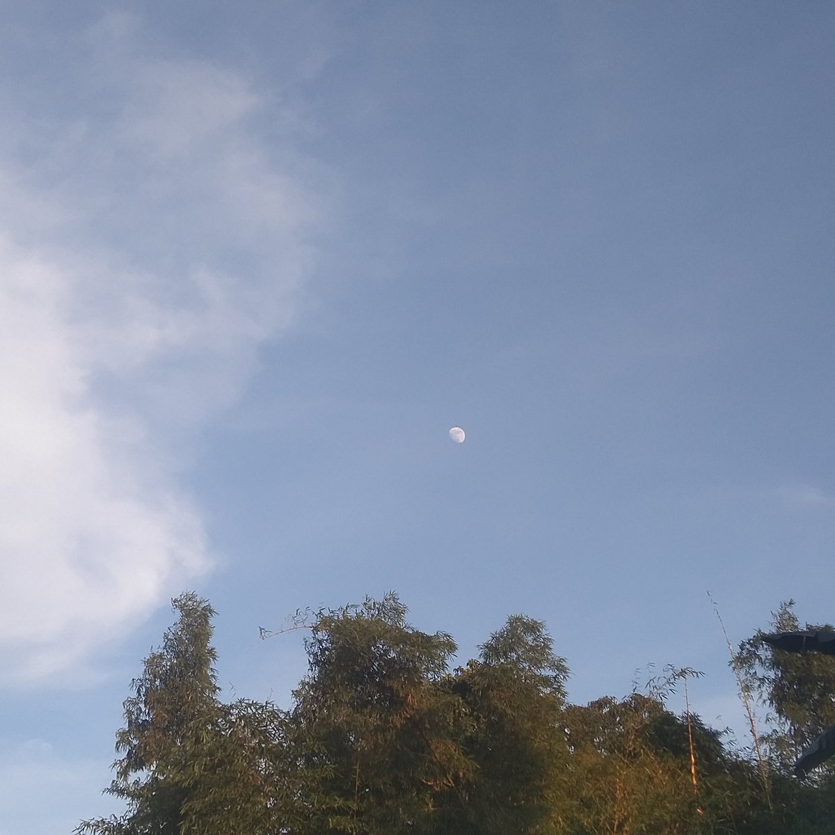 it's so nice walking alone