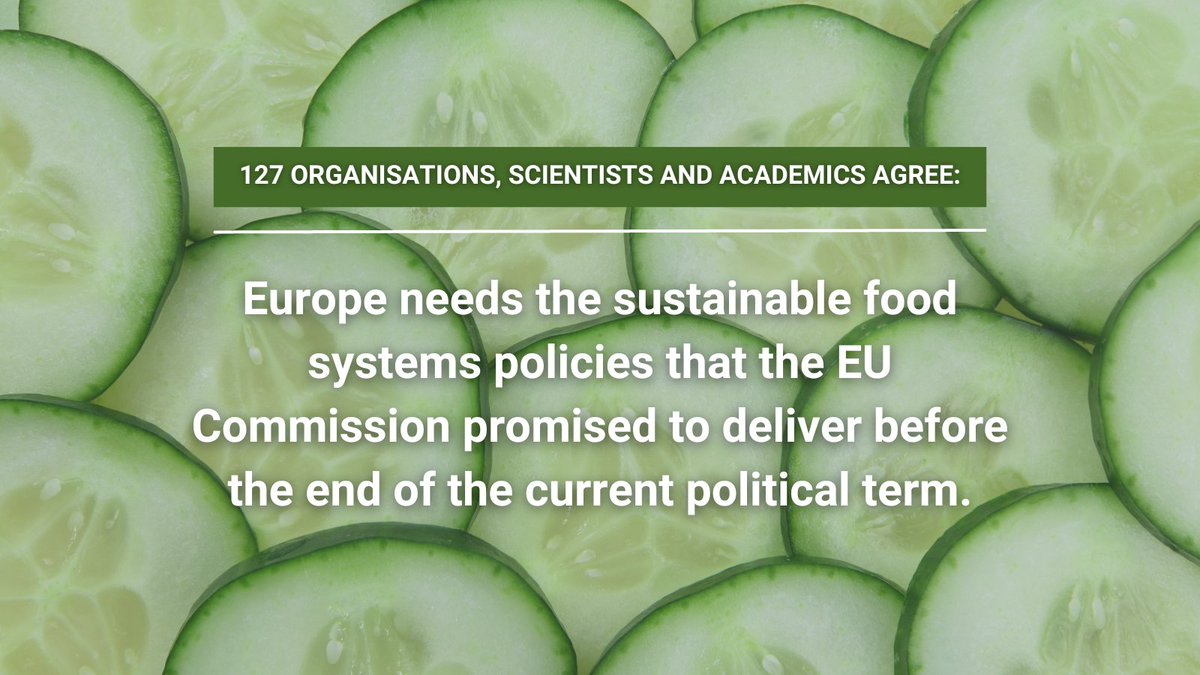 The strategic dialogue on the future of agriculture must not divert @EU_Commission from starting a transition to #SustainableFoodSystems! @EU_FPC participants' open letter calls on @vonderleyen to present an ambitious FSFS proposal before her mandate ends: bit.ly/3tJzG4K
