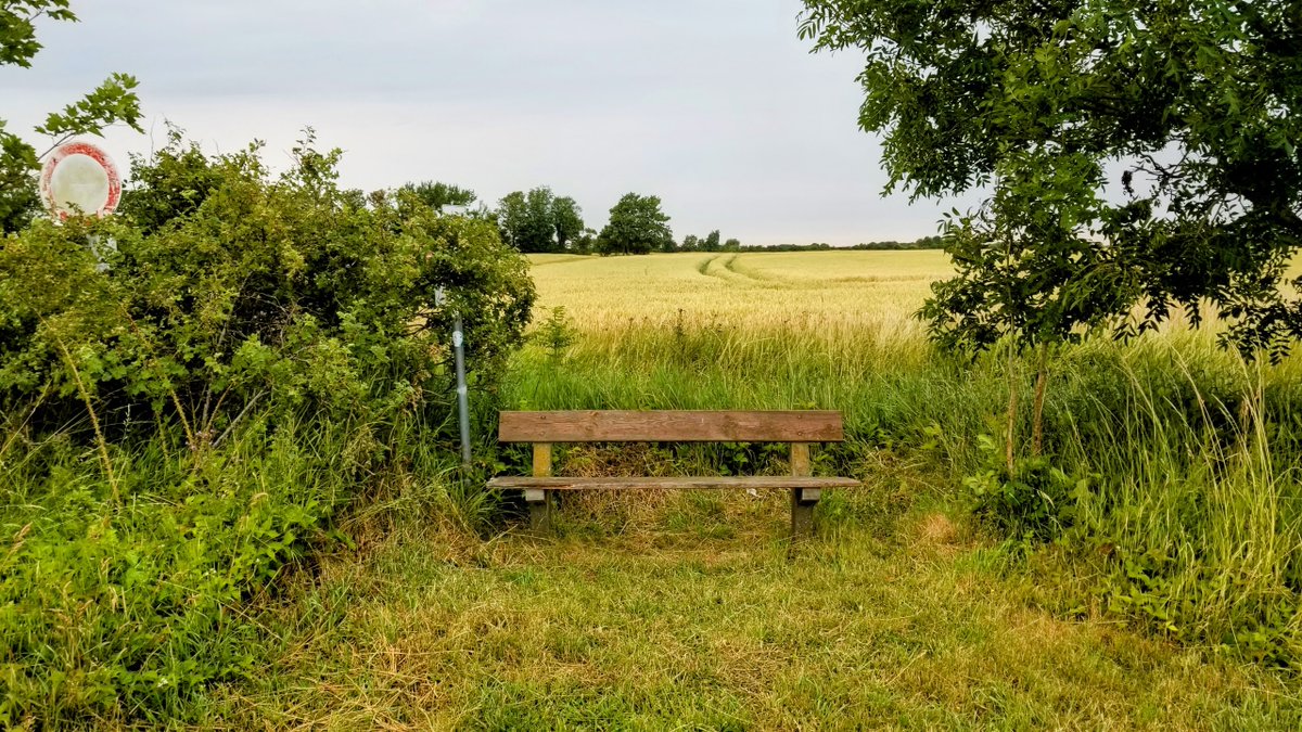 Impressionen von Fehmarn... 
 #Fehmarn #Ostsee #Insel #Ferien #Urlaub #ostseeliebe #küstenliebe #balticsea #meerliebe #schleswigholstein #strand #meerweh #ostseeurlaub #reiselust #ostseekult 
natuerlichfehmarn.de
