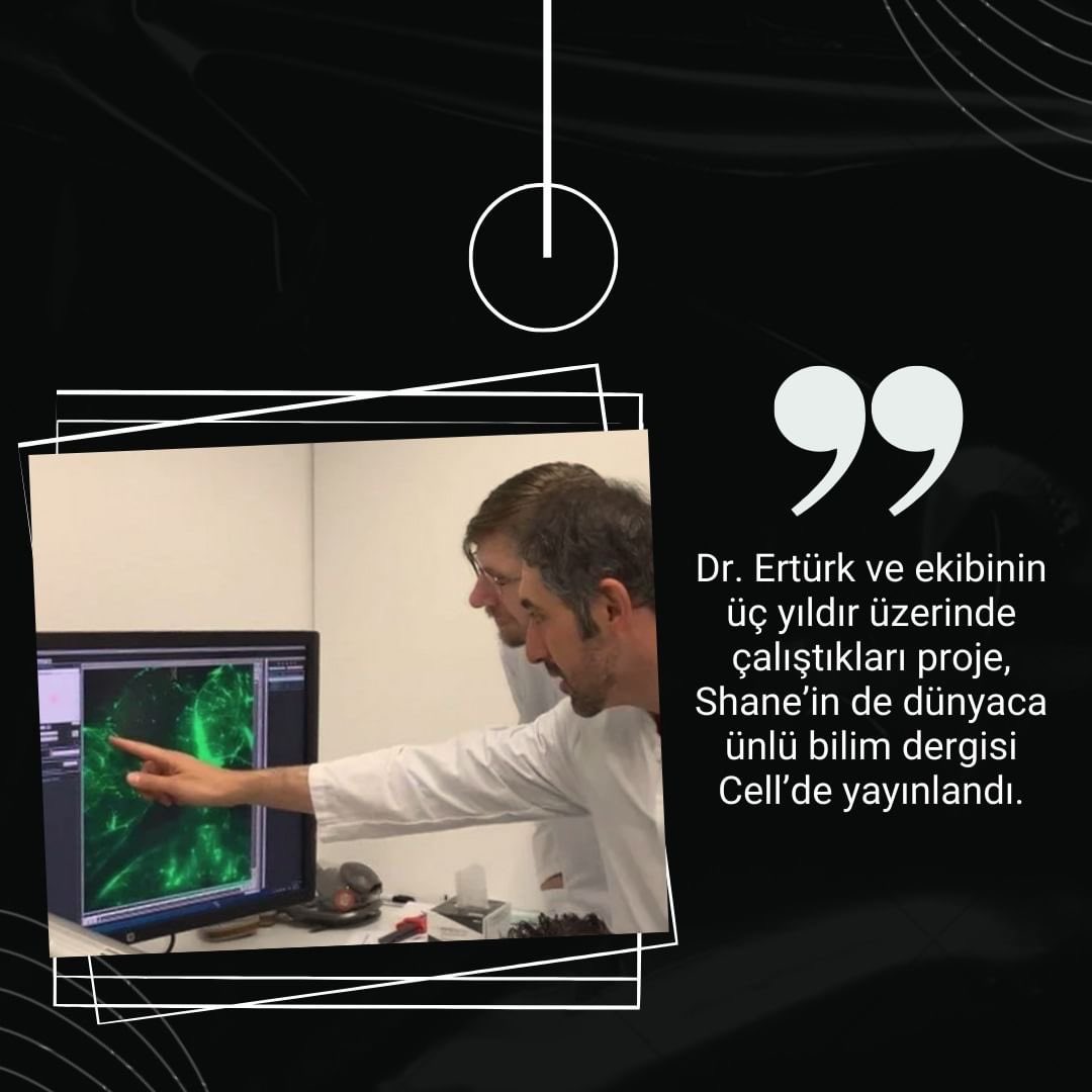 Nobel Tıp Kitabevi tweet media