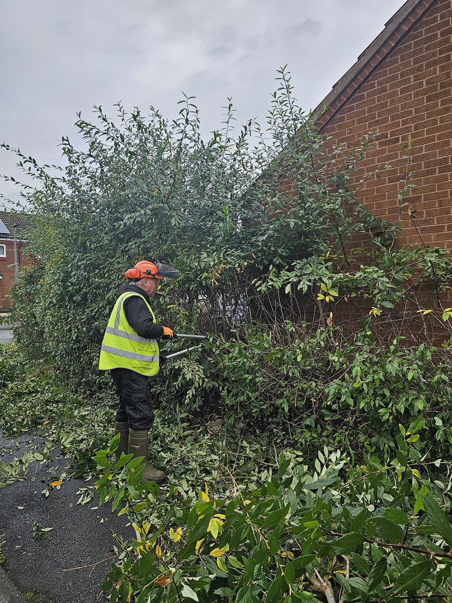 hblundell's tweet photo. Out on the lodgemoore estate this lorning hard pruning ready for winter and an estate walk with residents #fabulousthursdays #engagingcustomers #residentsfirst @ongoUK https://t.co/CaZq0XTlkF