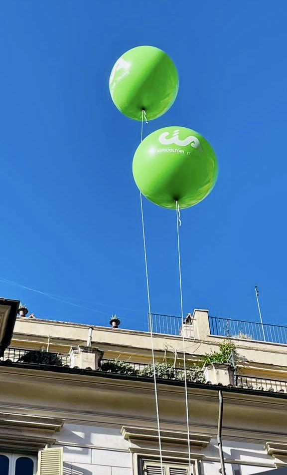 Piazza Santi Apostoli a #Roma è un tappeto di bandiere verdi 💚
#Cia porta duemila #agricoltori nella capitale da tutte le regioni d’#Italia🚜👨‍🌾 
Gridiamo insieme il nostro slogan: senza reddito, non c’è futuro‼️