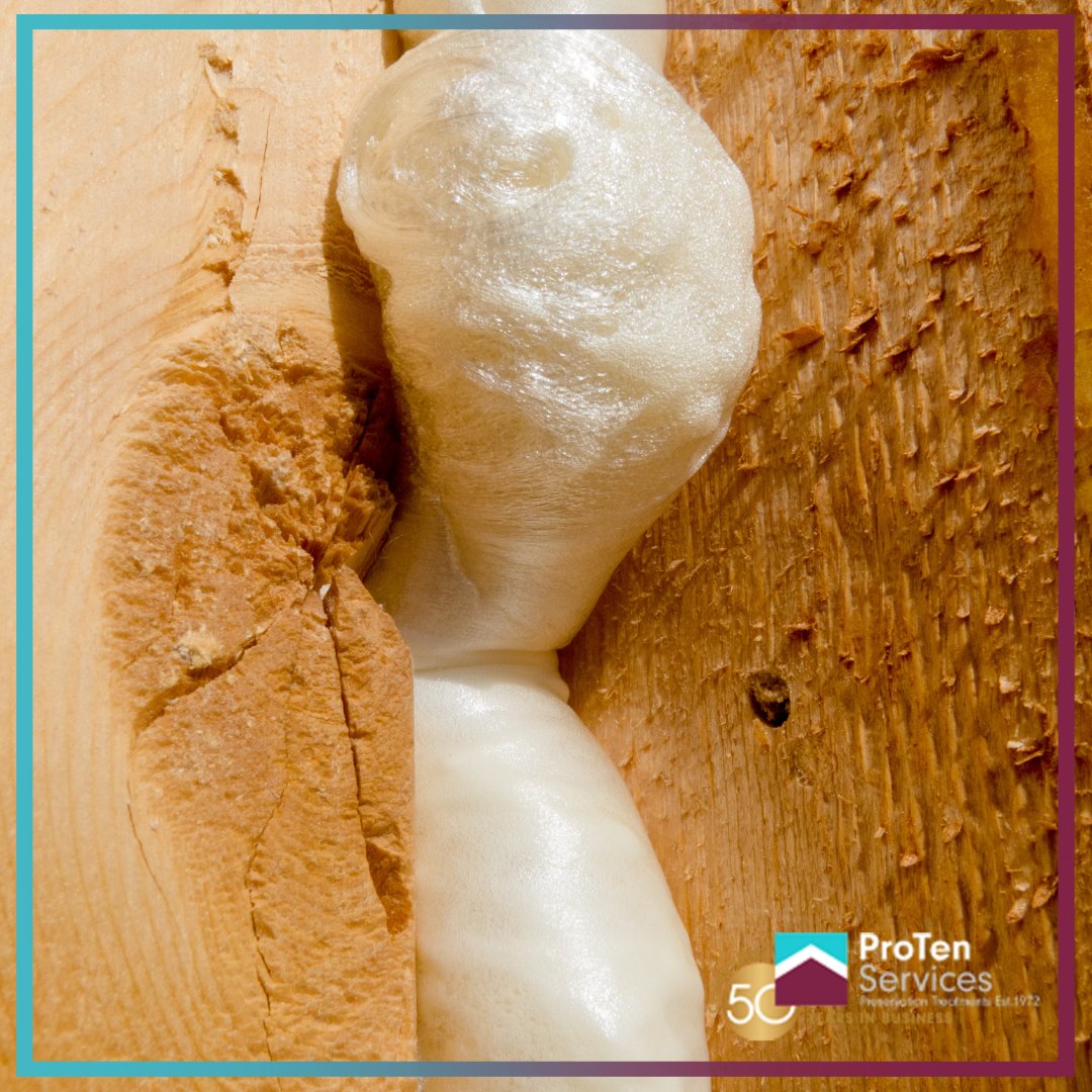 ProTenServices's tweet image. ProTen’s experience as damp and timber treatment and structural repair specialists allows us to to survey, determine and carry out the right repair relevant for the situation.🏠

🖥 protenservices.co.uk

#ProTenServices #timber #timberresin #timberresinrepairs #ourservices