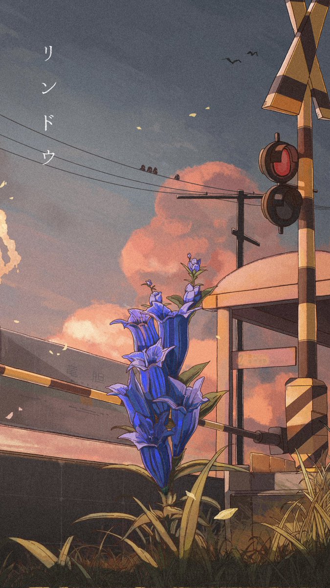 【New Release】
リンドウ feat. SEKI-NE

2023/11/02 ㈭　配信
<a href="/sebo_ne/">背骨</a>