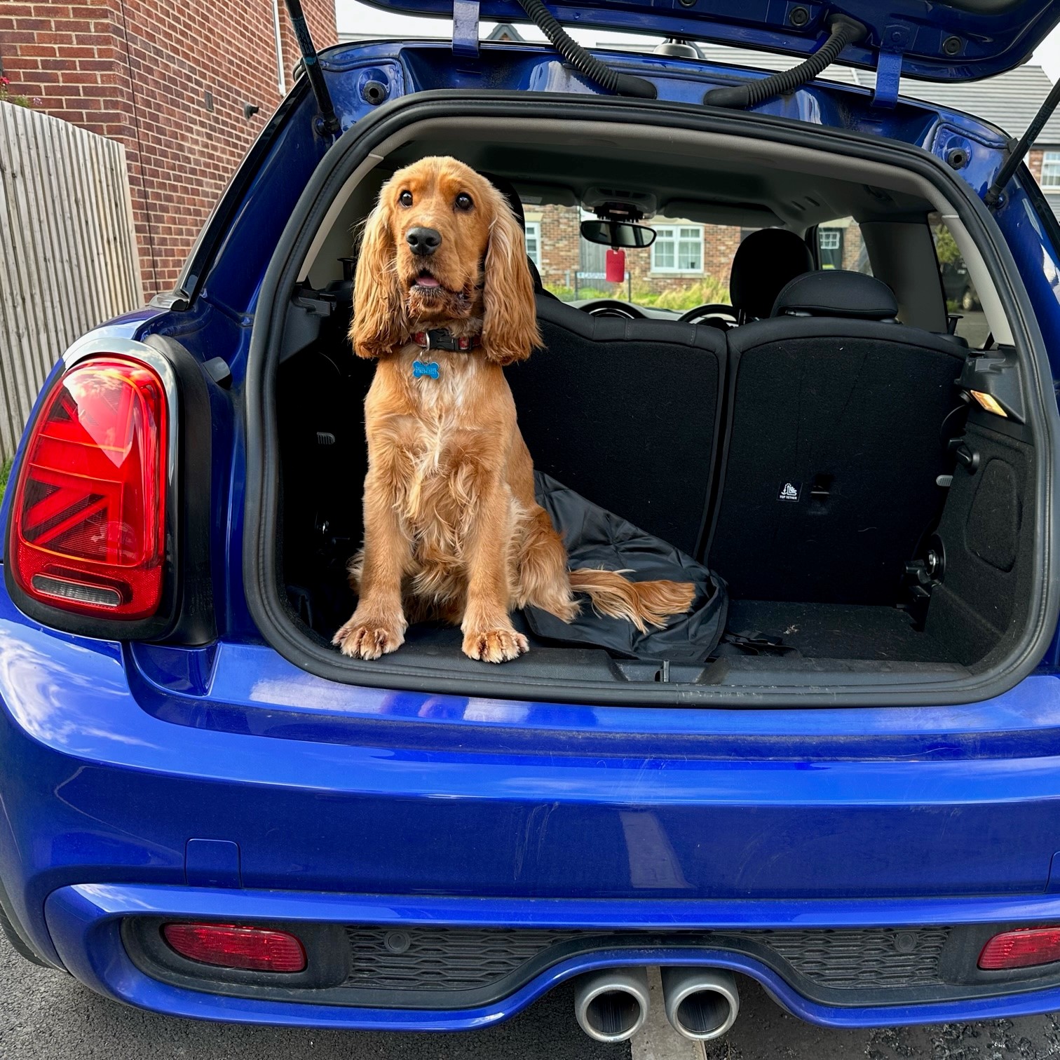 Bowker MINI on X