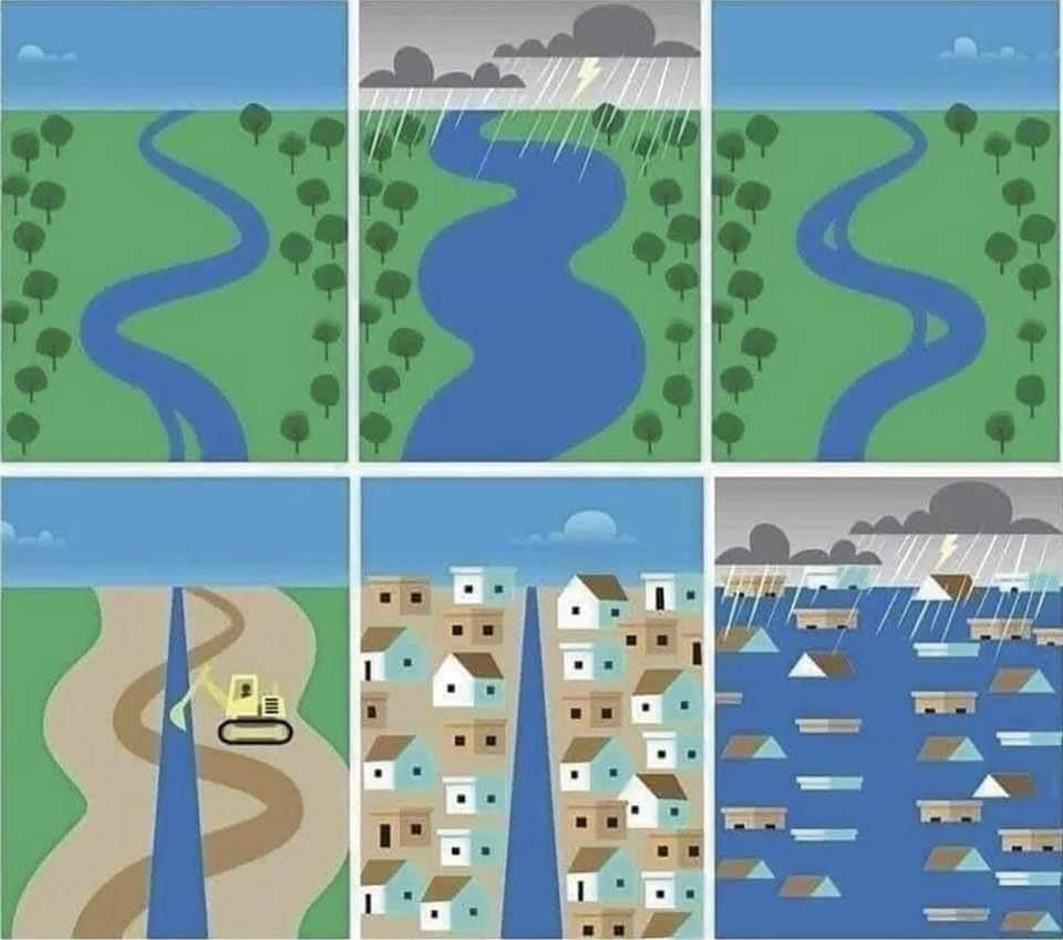 Wetlands don’t care which direction the rain comes from ⚠️ They act as natural sponges and absorb excess rainwater, releasing it slowly rater than flooding. We need more of these habitats to protect our communities from flood damage.