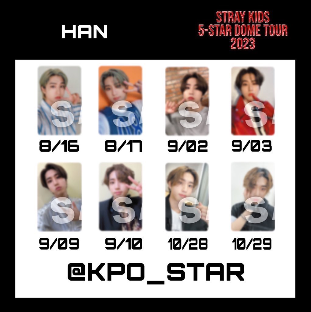 straykids スキズ 東京ドーム会場限定 トレカ 10/28 コンプ straykids スキズ HANハンジソン 10/28東京ドーム会場限定トレカ