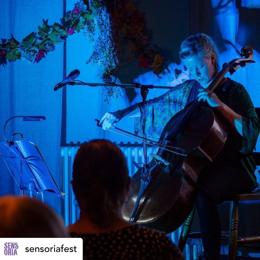 A lovely photo from my show at  @SensoriaFest playing music from my album ‘Land’. More shows to come, watch this space! @hudson_records 📷 #lauramerrill