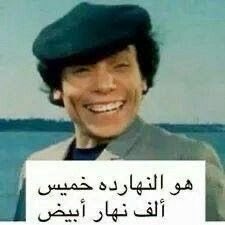 انيقه🕊️ tweet media