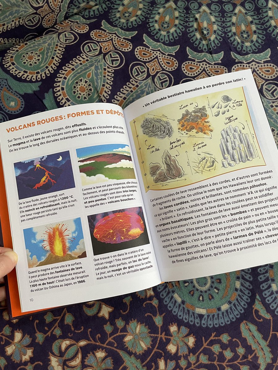FredeLeclerc's tweet photo. Il y a un an, le projet d’écrire un livre pour enfant sur les volcans m’était proposé ! Aujourd’hui , le livre est imprimé ! Les illustrations de Julien Flamand sont superbes et je me suis éclatée à l’écrire ! Hâte d’avoir le retour des jeunes lecteurs ! https://t.co/AWbvVrk2Mt