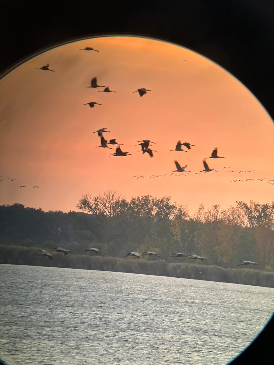 irenemrch's tweet photo. Our Hungarian Partner MME kindly hosted us in Debrecen 🇭🇺 Besides our meetings, we visited the Hortobagyi National Park to discover Hungarian culture and reconnect with nature. And what better inspiration than the almost 200,000 cranes that can be seen in the park? https://t.co/tIWFoZAcAn