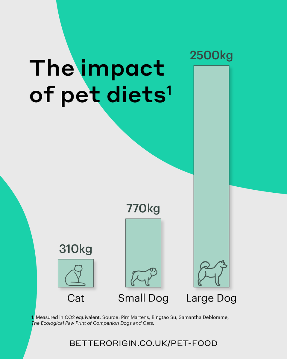 Better Origin tweet media