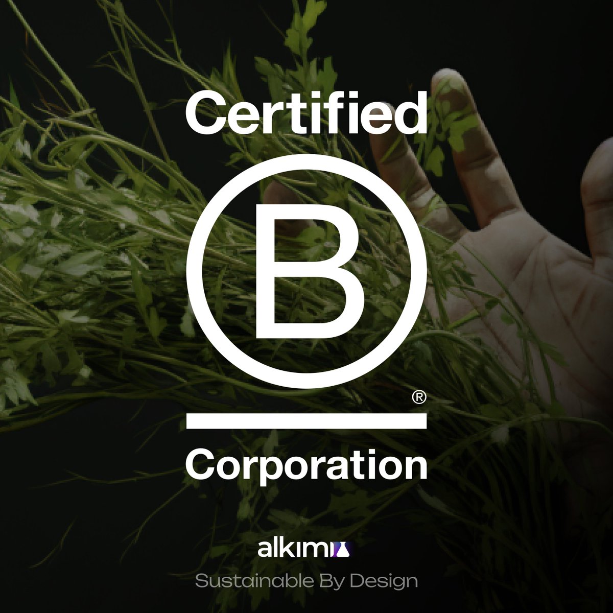 Alkimi is now a certified <a href="/BCorpUK/">B Corp UK</a>!

This certification is more than a logo; it's a commitment to contribute positively to our planet and its people.

We're dedicated to continuing our journey with responsible, ethical, and sustainable business practices.

$ADS