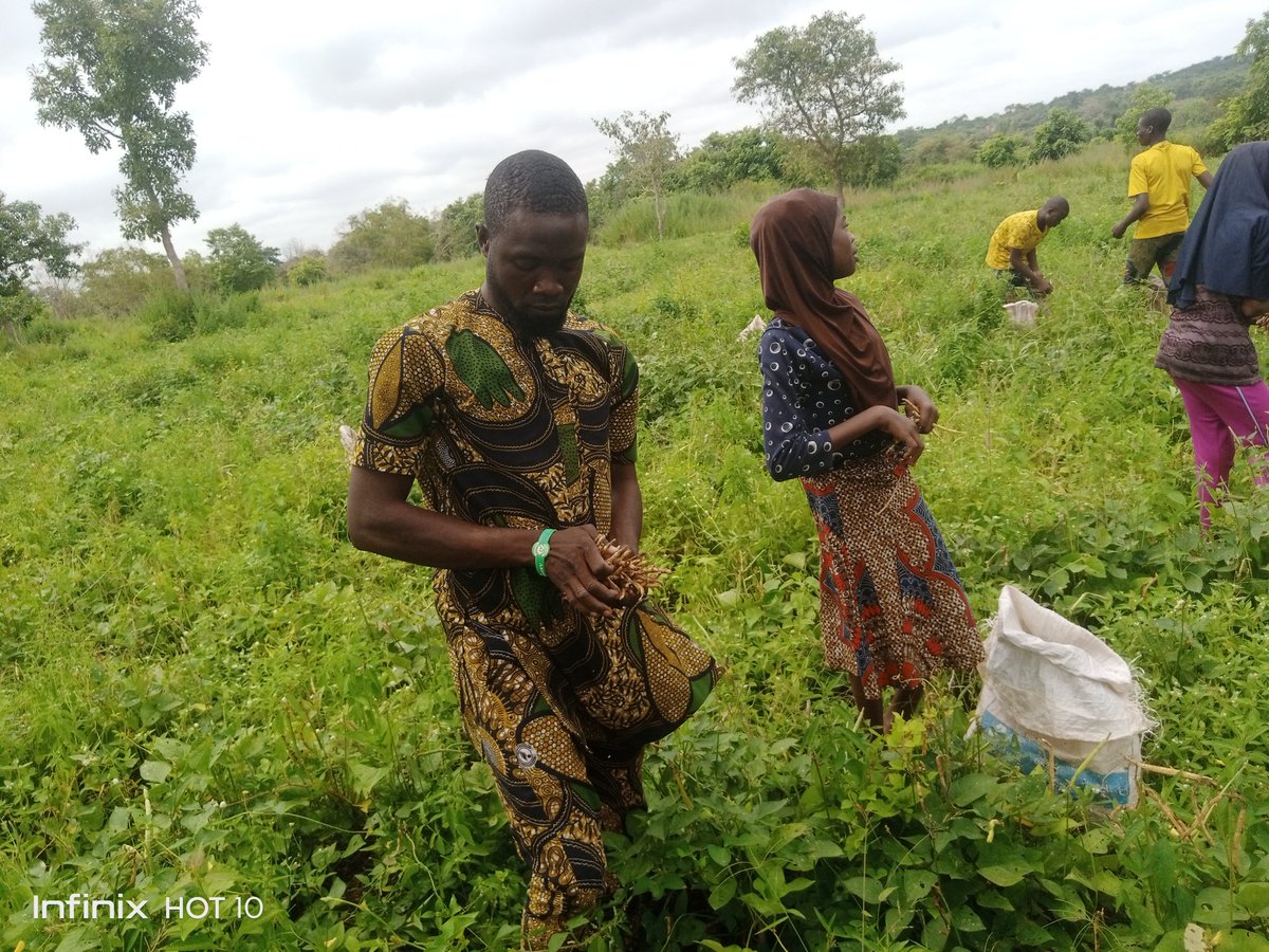 As a farmer, I know that hard work and dedication are essential to success. Farming is not just abut growing crops it's about growing a community, by becoming a farmer, u become part of a network of people who are committed to nourishing our world, both literally nd figuratively