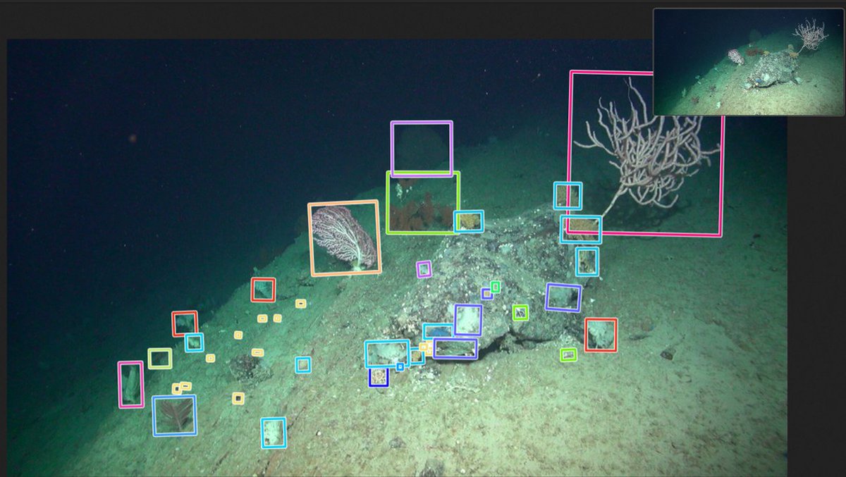 PhD in applying AI to Autonomous Underwater Vehicle images for next generation marine benthic biological observing capability! @deepseaecol @DeepSeaCRU To find out more, click this link: aries-dtp.ac.uk/studentships/h…