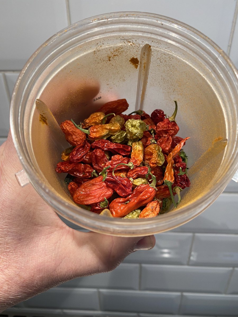 Lupo_T_Lupo's tweet image. Final stages and a bit of air drying