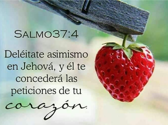 jorgil17's tweet photo. @mariaa20212 Que el favor de DIOS este contigo y  los tuyos María.! 🙌 https://t.co/a1jjyv4HRu