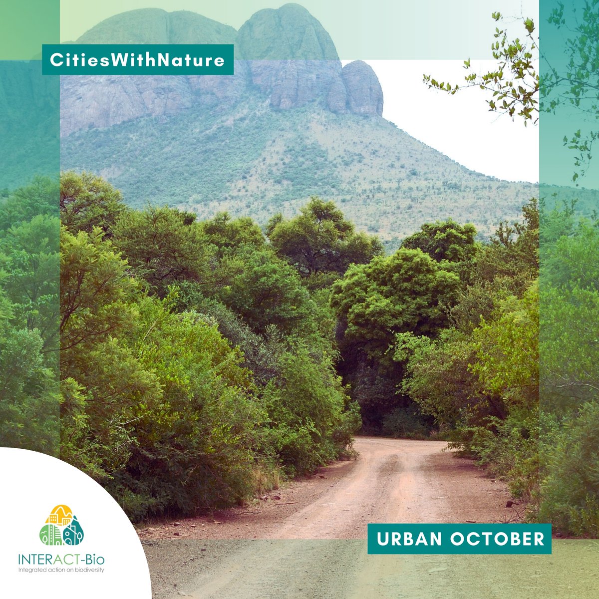 🔍 on #BiodiversityAction this #UrbanOctober 🌱

Announcing #INTERACTBio's South African subnational governments: Waterberg District Municipality

The project leads the way in biodiversity planning, unlocking 🪙 #ForNature &amp; sharing lessons between global south &amp; global north.