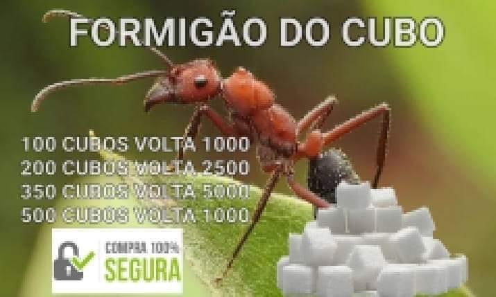 vem que ta barato