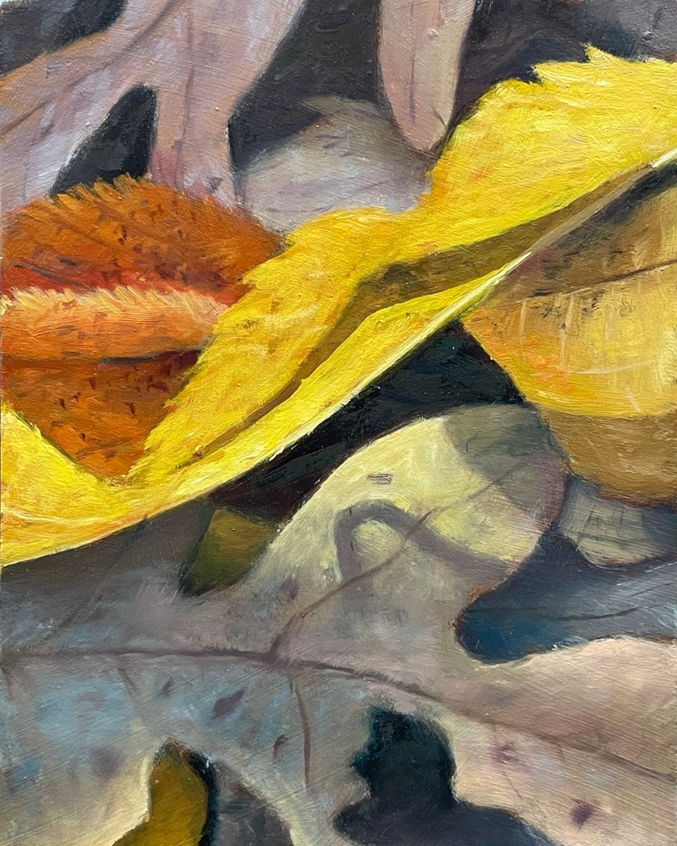 I am planning to do a series of these closes up leaf paintings this year. This a a small 5x7" initial proof of concept I painted sometime last winter. 

#nature #art #painting #naturelovers #fineart #naturebeauty #botanicalart #oilpainting #fallart