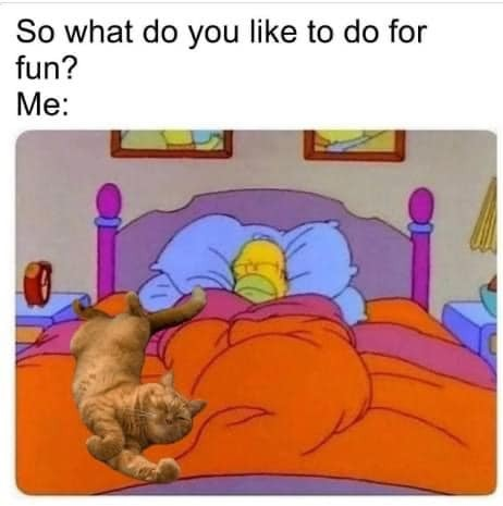 WholesomeMemes (@wholesomememe) on Twitter photo 