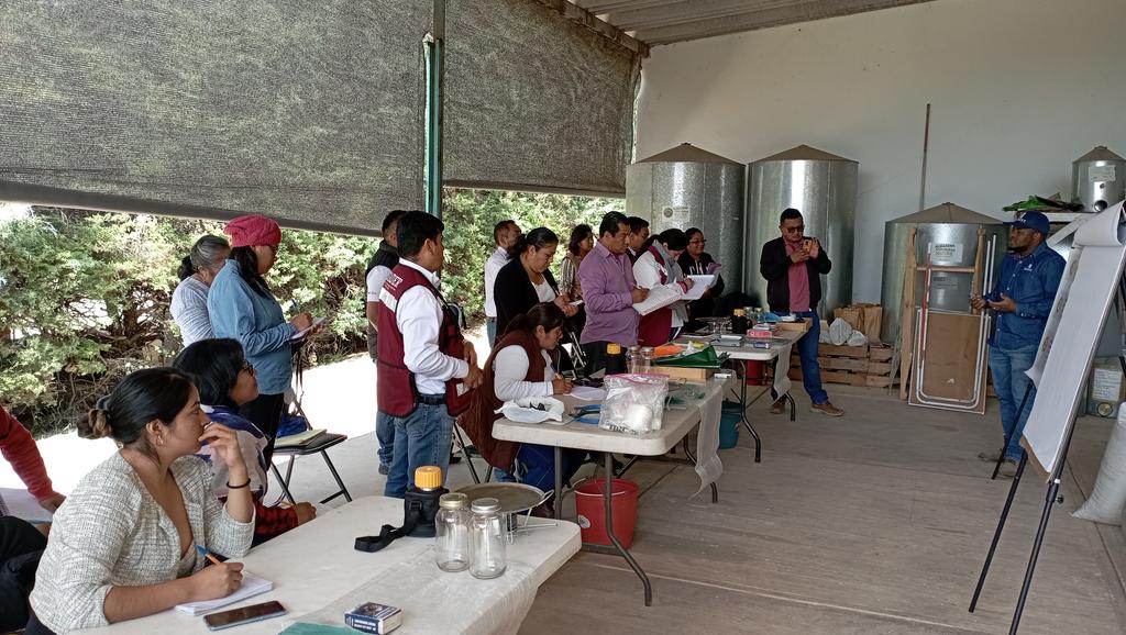 HubPSurCimmyt's tweet image. El manejo poscosecha es un punto sensible en la seguridad alimentaria del sector rural, y ayer hablamos con los técnicos de la @SEFADER_GobOax @AragonFlavio en vinculación con GIZ y @ACCIMMYT @CIMMYTesp.

#HubPSur
#PoscosechayMicotoxinas
@Jelle_VanLoon @poscosechaidp