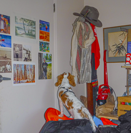 The day I climbed up on what used to be Momma's work table and showed her I could change all her careful piles of stuff even if I was tiny...changed our whole room arrangement. #ThrowbackThursday