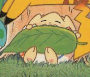 Out of Context Pokémon tweet media