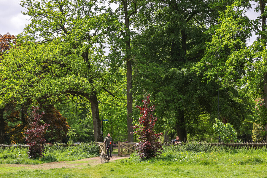 Op woensdagavond 1 november, tijdens de #NationaleKlimaatweek, is in <a href="/ACECgebouw/">Apeldoorns Centrum voor Eigentijdse Cultuur</a> het tweede Klimaatcafé van Apeldoorn. Hier gaan we verder in gesprek met Apeldoorners over de nieuwe agenda over klimaatadaptatie, groen en natuur. Ben jij erbij?👉apeldoorn.nl/actueel/praat-…
