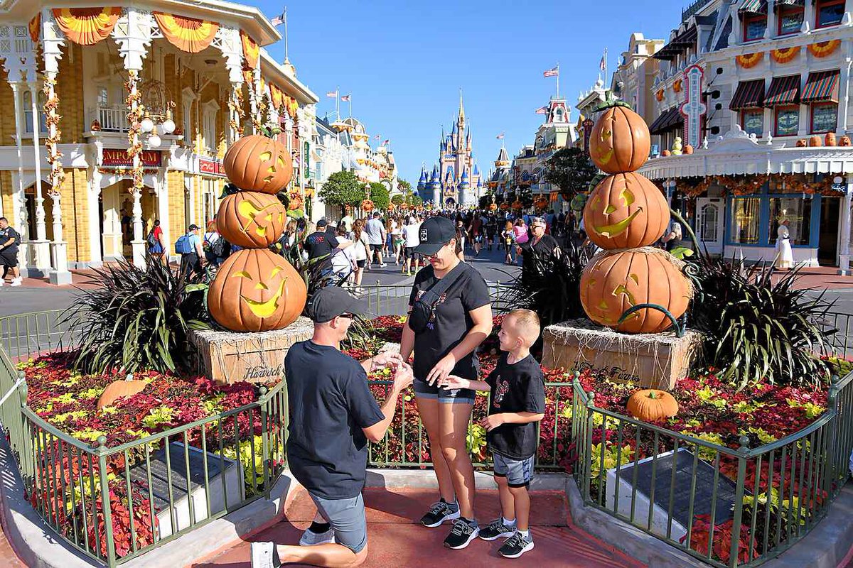 LBD 🛰️ tweet media