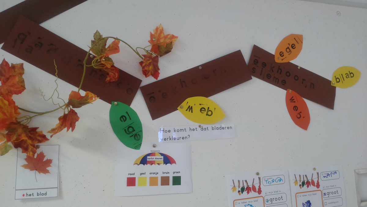 Nog een verwerking nodig voor in de taalhoek? Leg takken, bladeren en woordkaarten neer. #kleuters stempelen lange woorden op een tak en korte woorden op een blad. Samen maken ze een boom in de herfst 🤩 #taal #herfst #stempelen