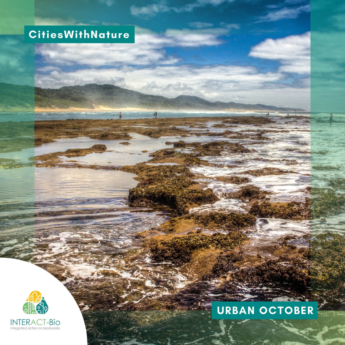 CitiesWNature's tweet photo. 🔍 on #BiodiversityAction this #UrbanOctober 🌱

Announcing #INTERACTBio's South African subnational governments: uMkhanyakude District Municipality

The project leads the way in biodiversity planning, unlocking 🪙 #ForNature &amp; sharing lessons between global south &amp; global north. https://t.co/AFtbHWuIRI