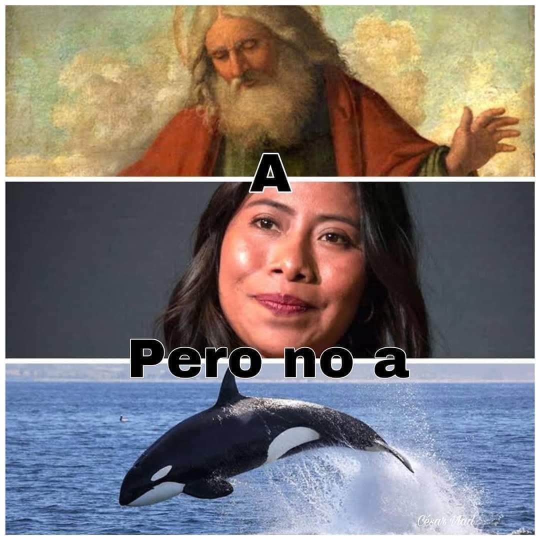 El Papichulo (@elpapichulomx) / Posts / X