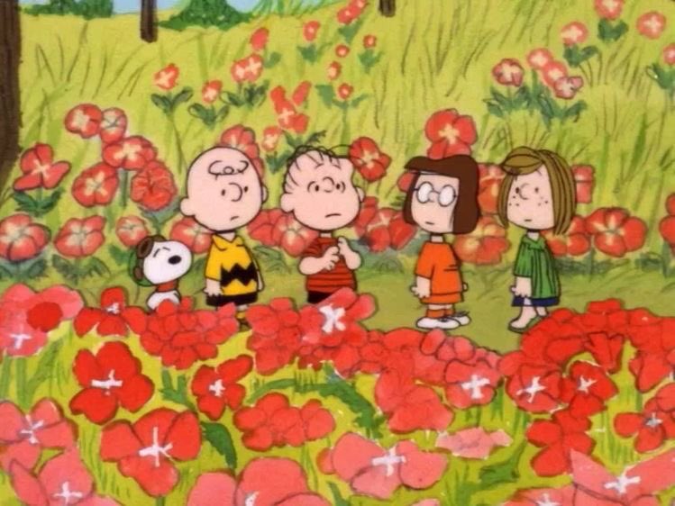 a_carrot_bagel's tweet photo. 🌼🧼🥡🍅 https://t.co/sLTQ9sWBQ2