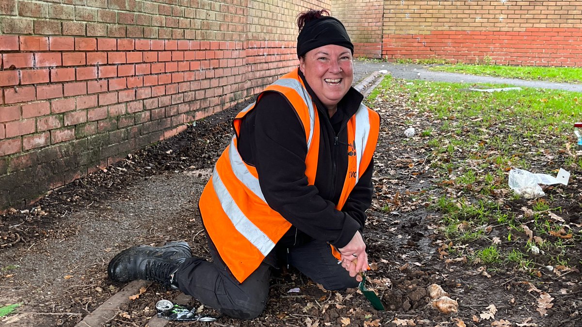 MuirGroupHA's tweet photo. A Muir estate will bloom when spring surfaces after staff got busy planting bulbs ahead of the winter months🌻🌹🪻
Staff teamed up with grounds maintenance provider, @TivoliGroupLtd to plant hundreds of bulbs at the Glebe Green estate in Winsford🏡🤩https://t.co/jVfRc4N7F2 https://t.co/lf8lBf2IkD