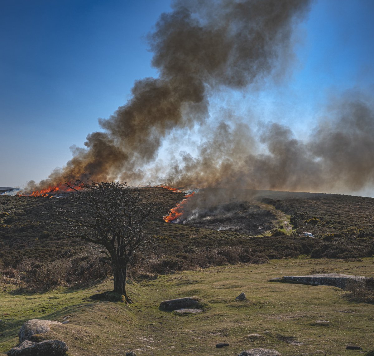 Join a team researching UK wildfire through ecology and palaeo science @PlymGeog @JessieW_Palaeo @ScootJD @EnvSciPlymUni @garethdclay @NaturalEngland To find out more, click this link: aries-dtp.ac.uk/studentships/w…